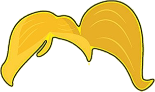 ponytail of Mrs Potato Head